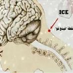 وضع مكعبات الثلج على الرقبة يعمل على معالجة اضطرابات الغدة الدرقية وضع مكعبات الثلج على الرقبة يعمل على معالجة اضطرابات الغدة الدرقية