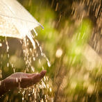 أعشق الشتاء لأنّ المطر دائماً يُشعرني بالطمأنينة فهناك رب لن يضيعنا