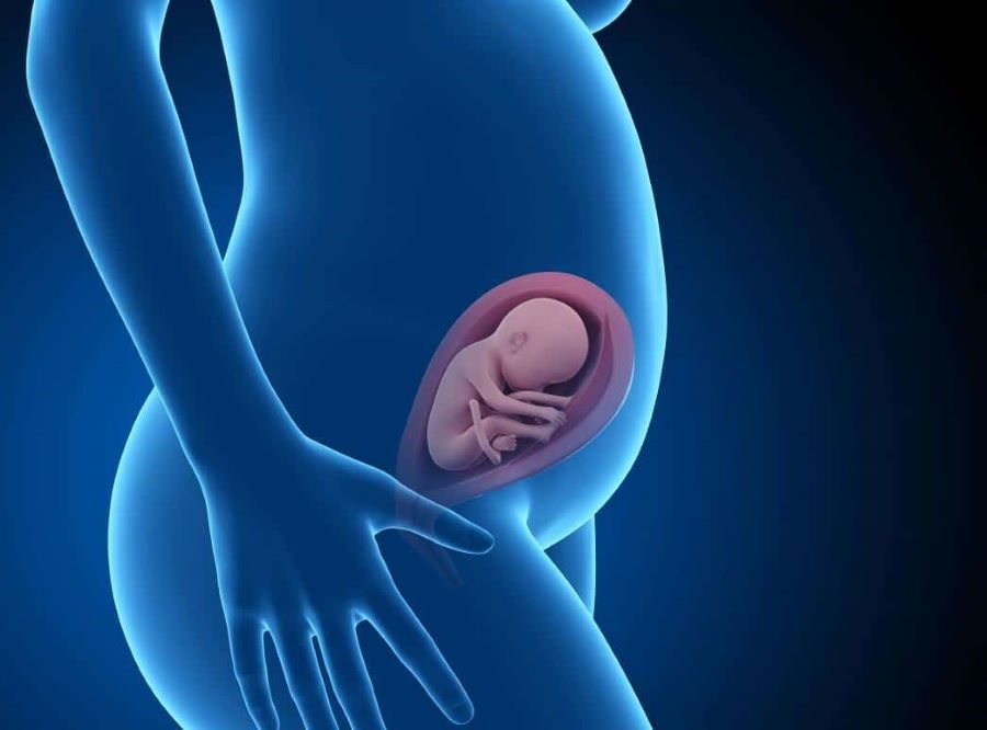 أعراض الحمل بذكر في الشهر الثالث
