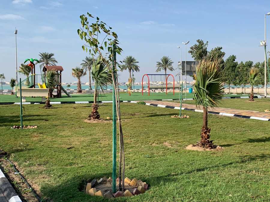أنشطة ترفيهية ومعالم بارزة في الصواري