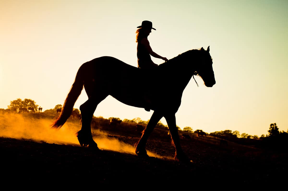 امتطاء الخيل