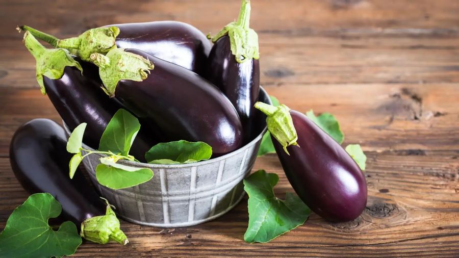 تفسير حلم الباذنجان في المنام لابن سيرين