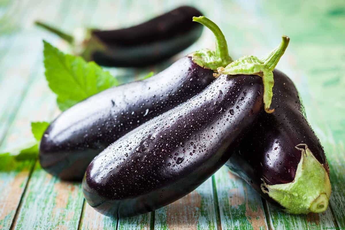 تفسير حلم الباذنجان في المنام للمطلقة