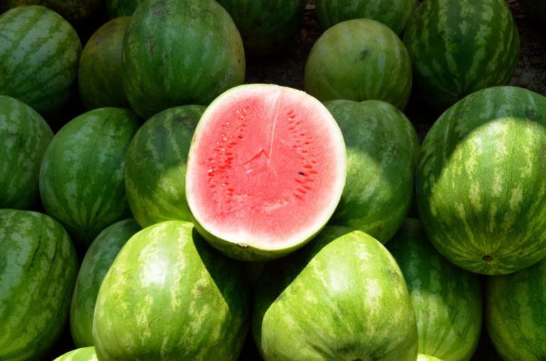 تفسير حلم رؤيا البطيخ الأخضر في المنام للعزباء