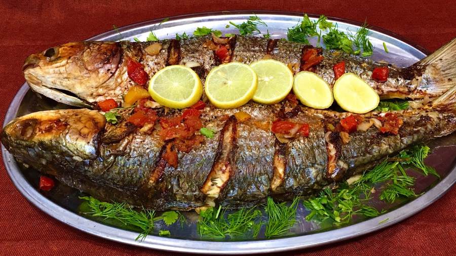 تفسير حلم رؤية السمك البوري في المنام للعزباء