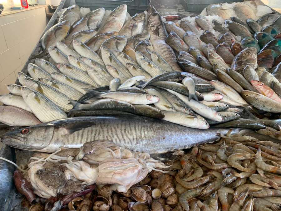 تفسير حلم شراء السمك للعزباء
