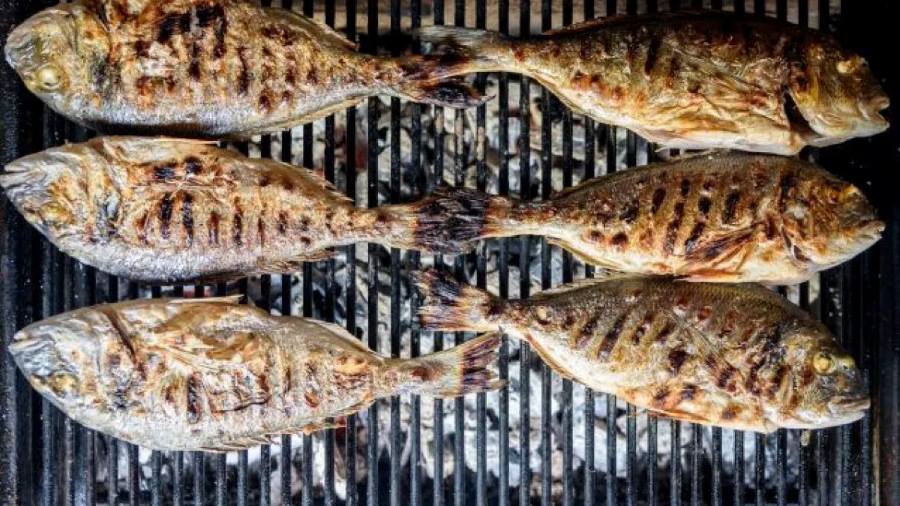 تفسير رؤية شوي السمك للشيخ النابلسي