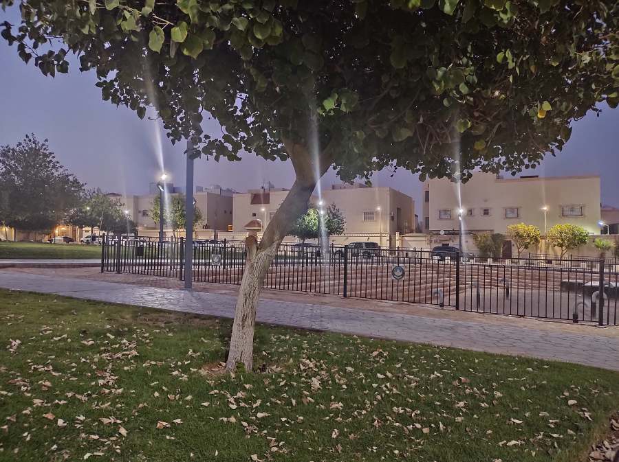 حديقة محمد بن القاسم