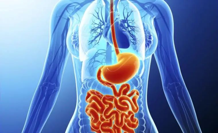 دكتور مشبب محمد آل مفرح