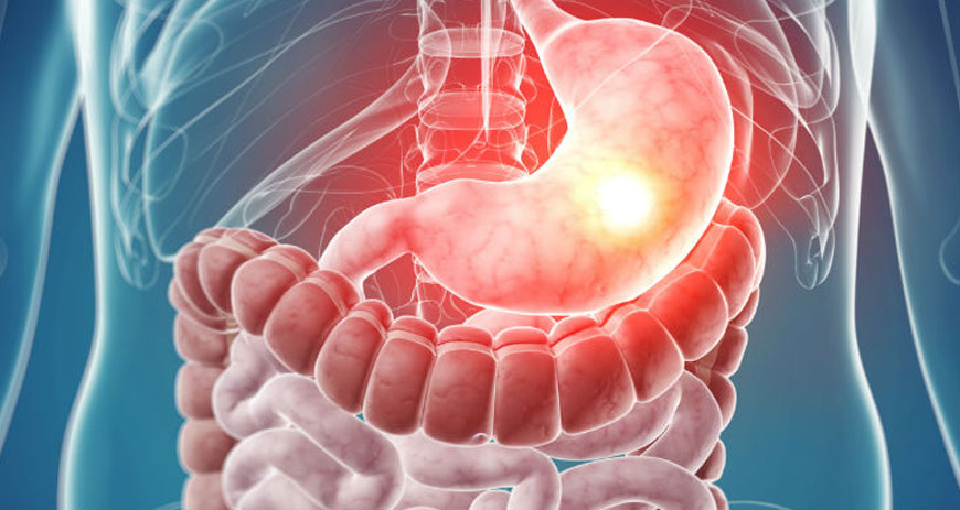 دكتور نبيل جرجس