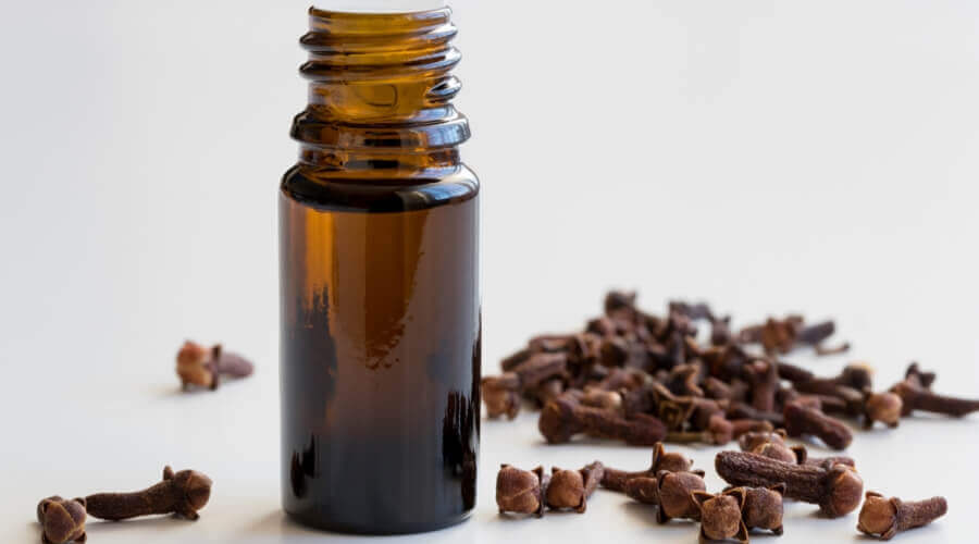 متى يشرب القرنفل للحمل