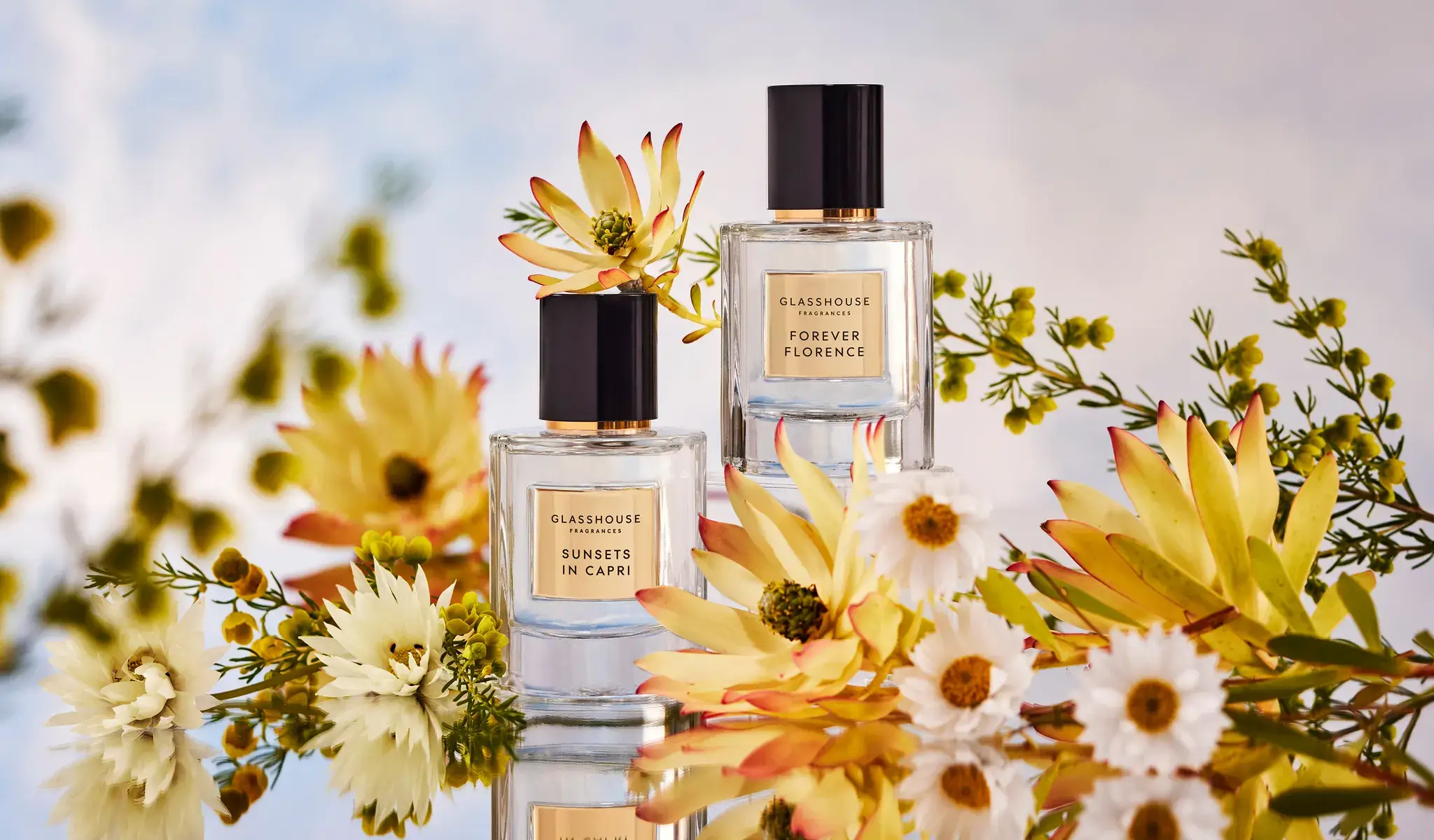 محل Touch Of Oud