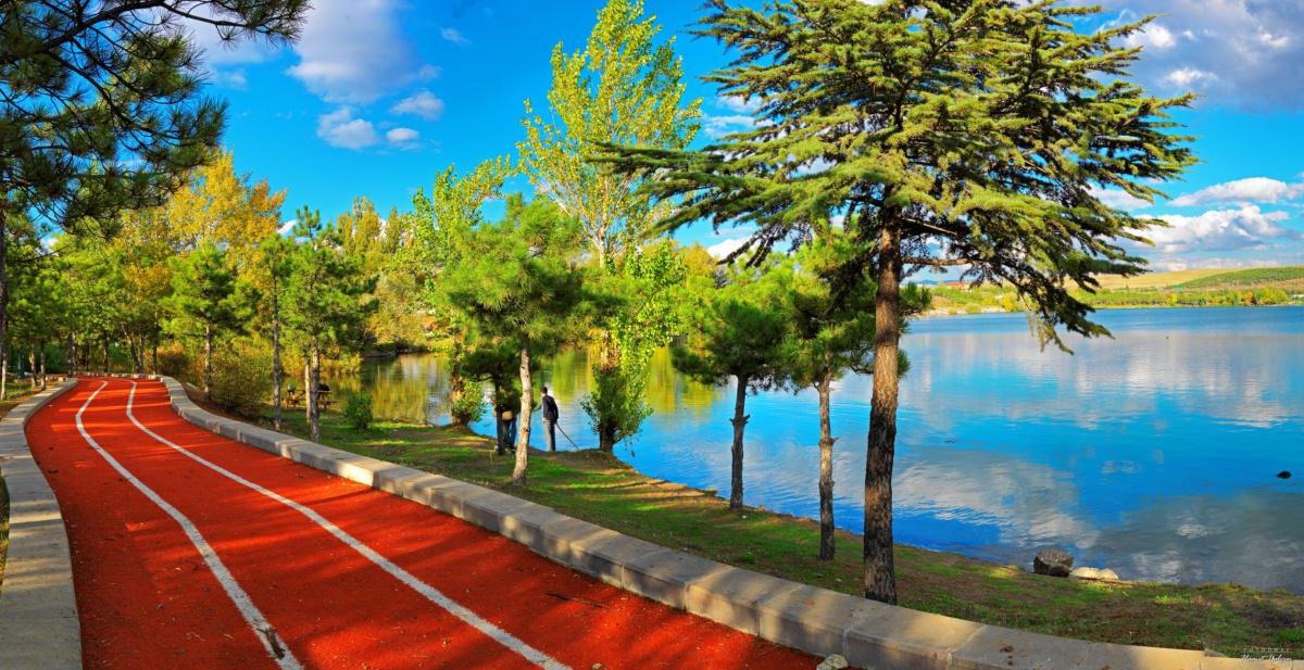 مواعيد العمل والأسعار