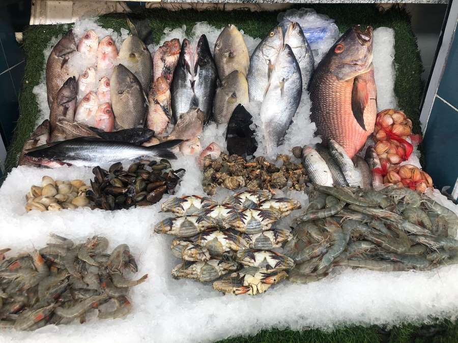 مواعيد عمل وأسعار سوق السمك جدة