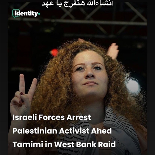 أمينة خليل