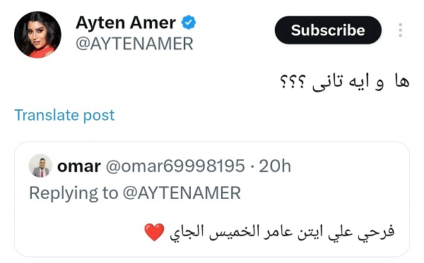 أيتن عامر