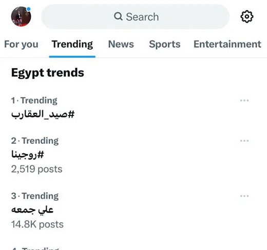 غادة عبد الرازق