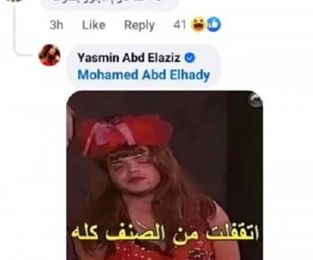 ياسمين عبد العزيز