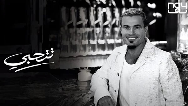 عمرو دياب