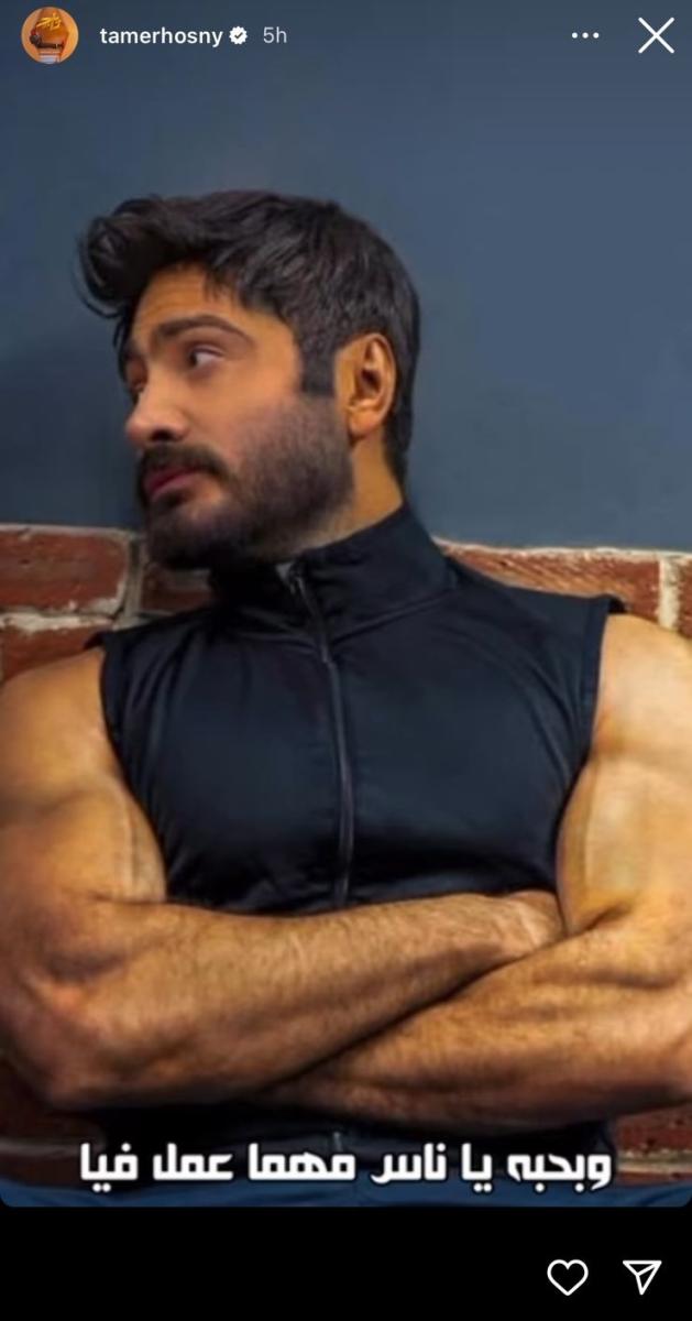 تامر حسني