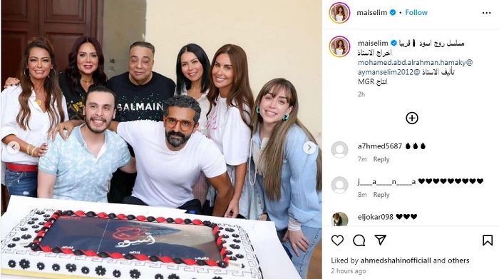 مي سليم