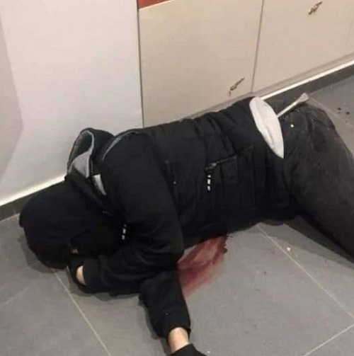 نانسي عجرم