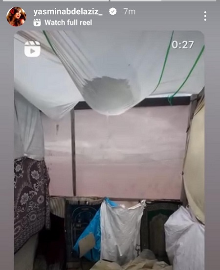 ياسمين عبد العزيز