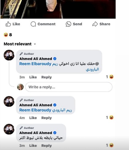 ريم البارودي