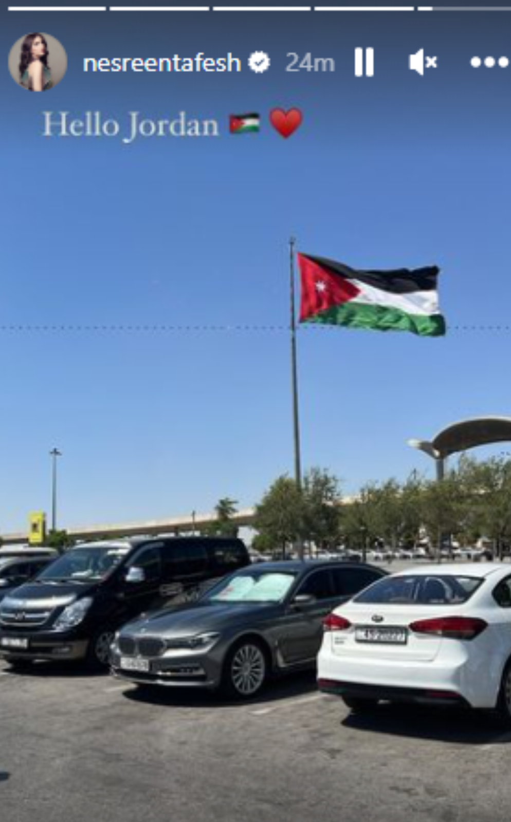 نسرين طافش
