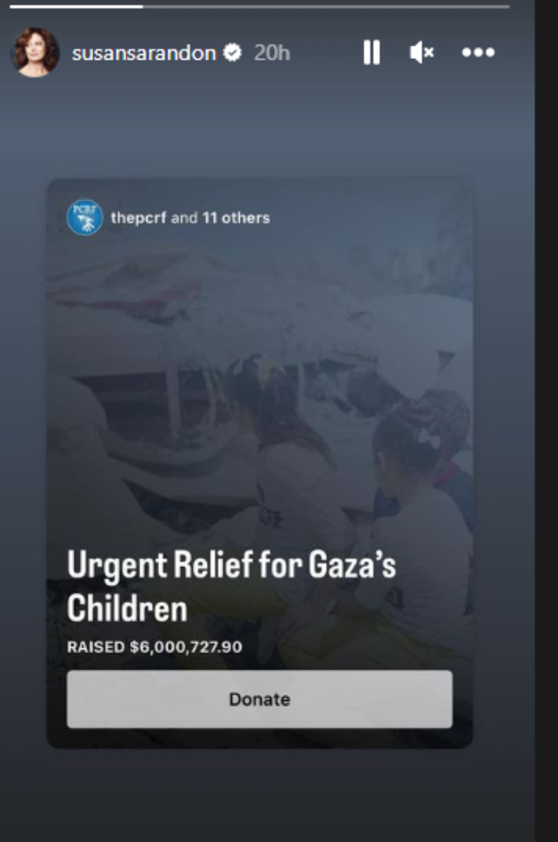 سوزان ساراندون