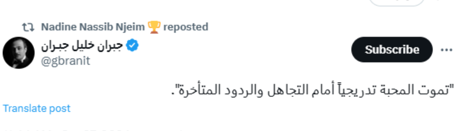 نادين نجيم