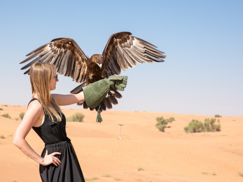أفكار مميزة لقضاء ليلة رأس السنة في دبي