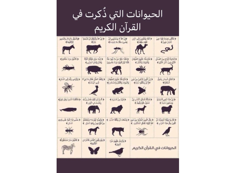 معجزات وحكم في كتاب "قصص الحيوان في القرآن" بقلم أحمد بهجت
