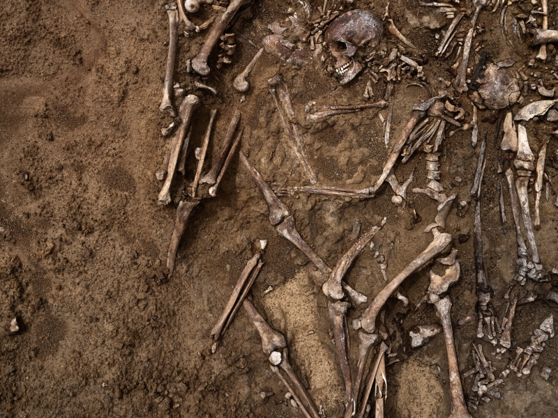 ما تفسير حلم العظام في المنام؟