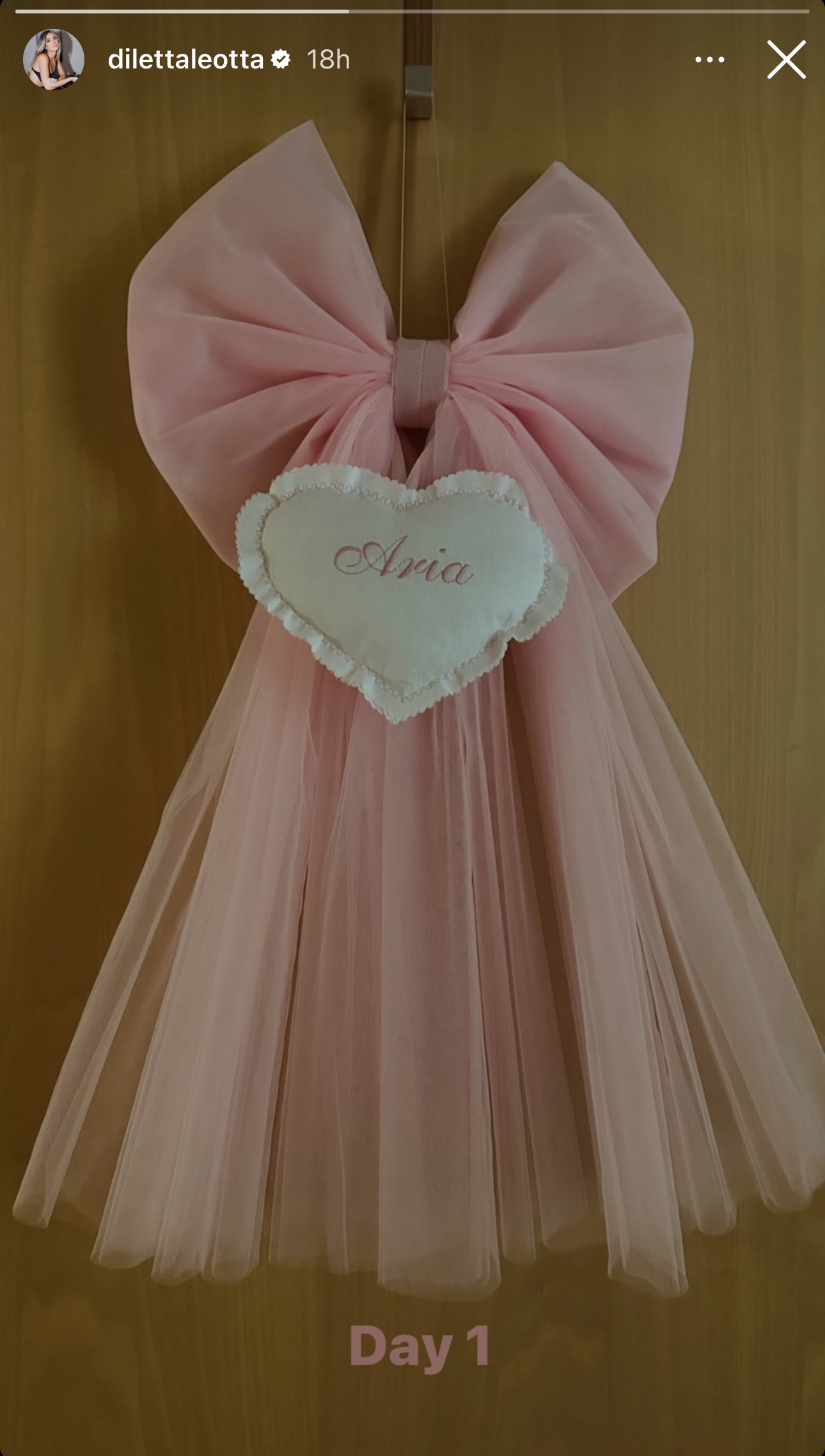 diletta leotta first baby daughter aria