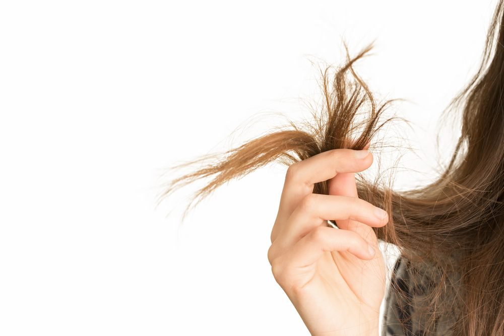 regular haircuts