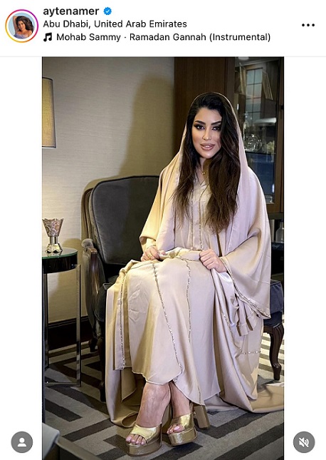 أيتن عامر