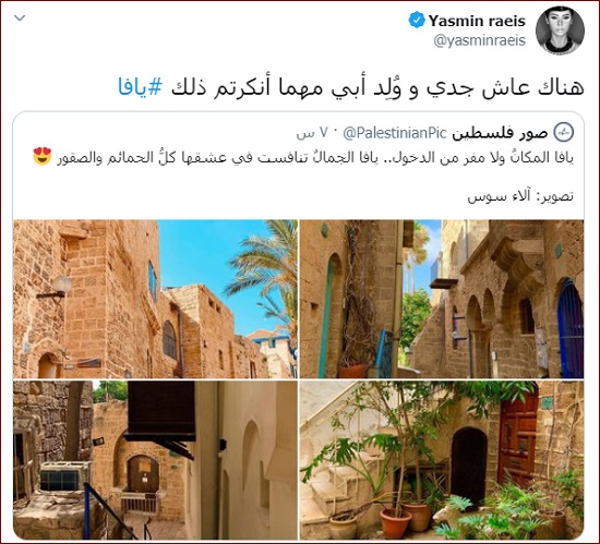 ياسمين رئيس