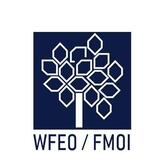 World Federation of Engineering Organizations (WFEO)