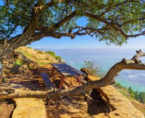 الأغوار الأردنية: وجهة مثالية للهدوء والمغامرة الشتوية