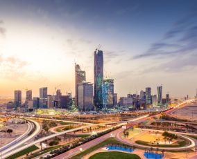 Unfolding the global property crisis