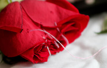 Not all women and girls are aware of their rights to decide on their own bodies, including opposing female genital mutilation (FGM) and child marriage, but educated women and girls are more likely to practice these rights and combat sexual violence. says UNFPA Arab States Regional Office Director, Dr. Luay Shabaneh.