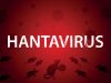 Hantavirus disease