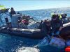 Italian narcotics police seizing drugs