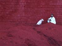 The red earth was put there to be mined (Twitter/A.Memariani)