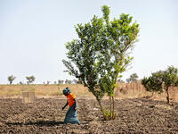 The number of refugees reached 25.9 million around the world in 2018. (Photo: UN Women/Christopher Herwig)