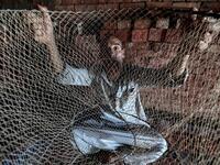 The "Pharaonic Sea" is the name of a large water body in the province of Monufia, an area of 2500 acres and overlooking 50 villages. Mohamed el-Shahed / AFP