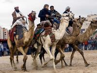 Palestinian jockeys compete during a local camel race held at the destroyed Gaza airport (Twitter)