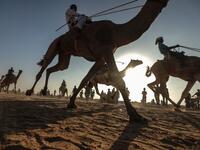 A Palestinian jockey competes during a local camel race held at the destroyed Gaza airport (Twitter)