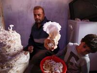  Nasrallah (L) and his son Saeed pick out ripe mushrooms in a dark room at a camp in a town called Haarem in the northwestern province of Idlib on November 29, 2019. Mushrooms are commonly viewed as an alternative to meat in dishes, although they are different in nutritional value. Aaref WATAD / AFP